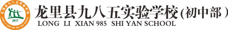 九八五教育